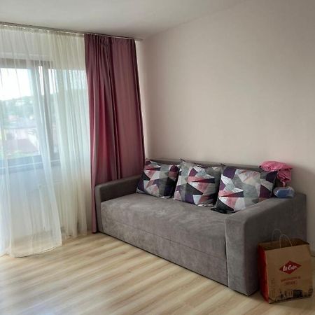 Râmnicu VâlceaApartament Centruアパートメント エクステリア 写真